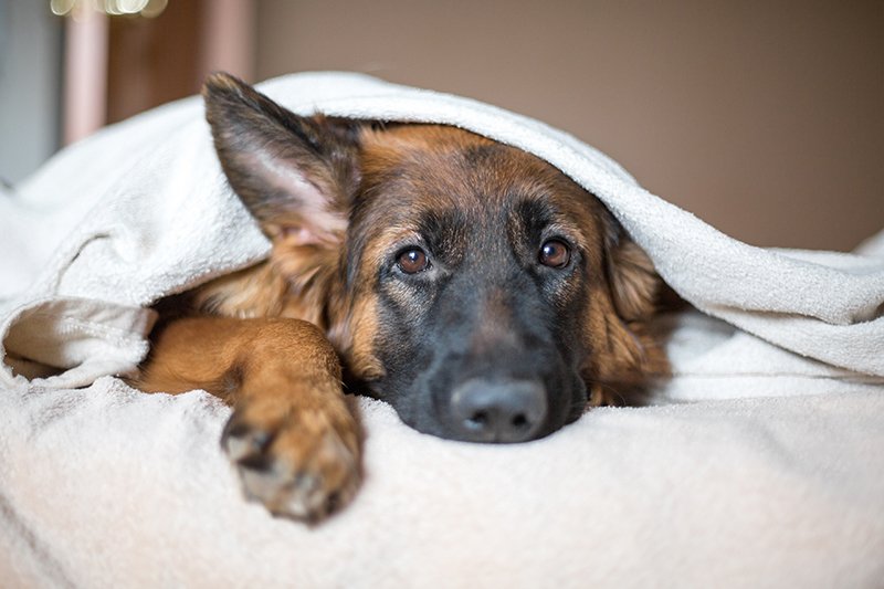 7 Things to Help Avoid Seasonal Affective Disorder