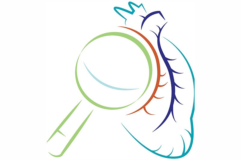 Know the Symptoms of Common Heart Conditions