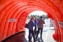Strollin Colon