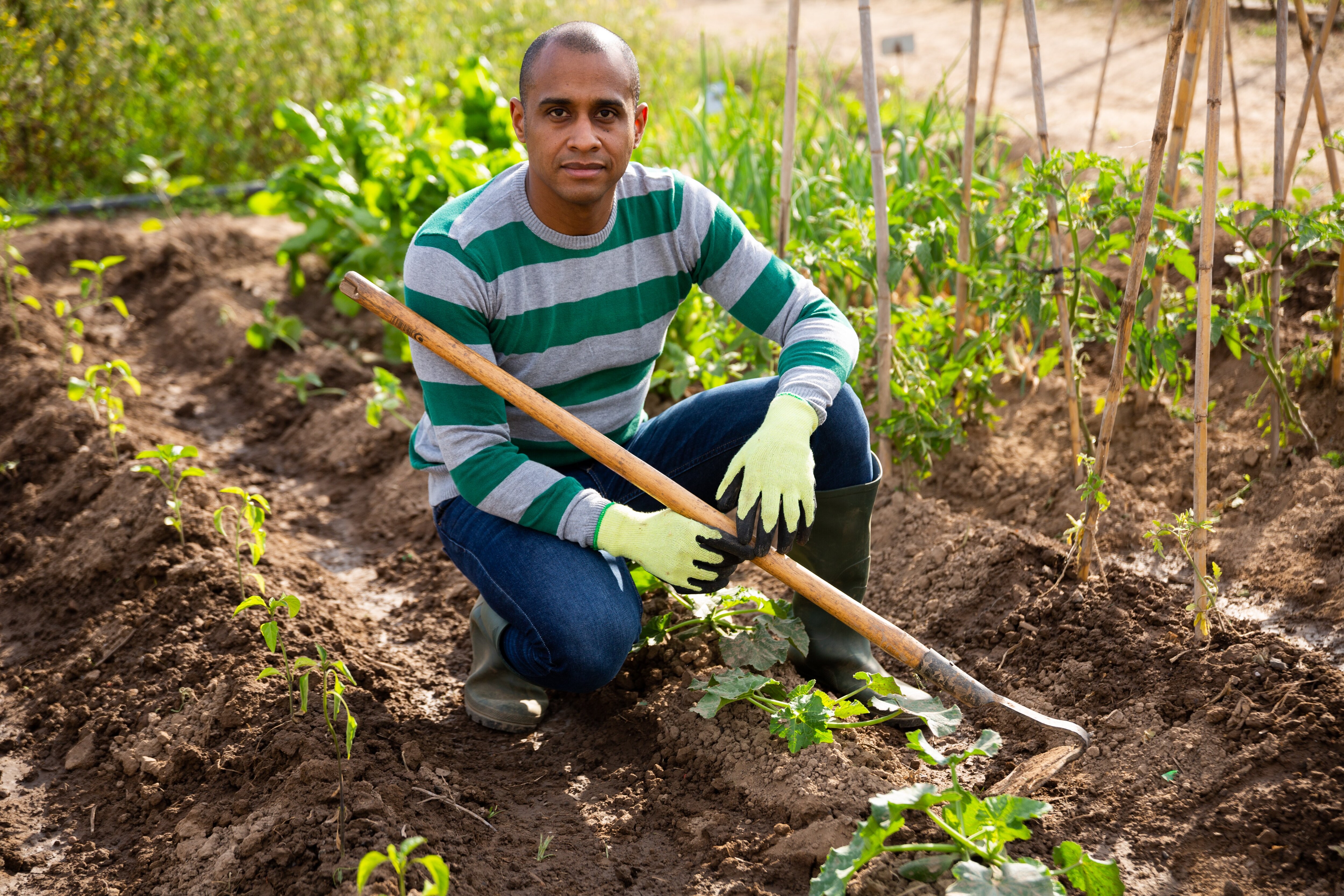 Man gardening outdoors.